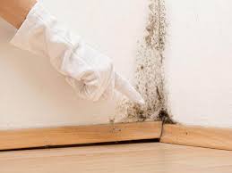 Best Asbestos and Lead Testing During Mold Inspection in USA